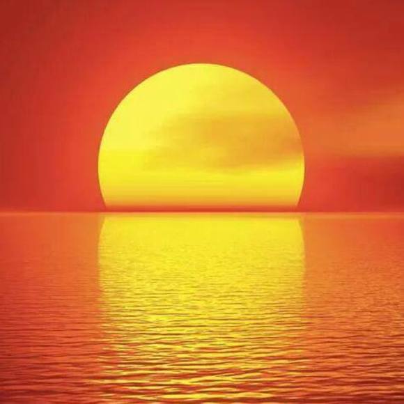 Meet your Posher, Nasir - Picture 1 of 1